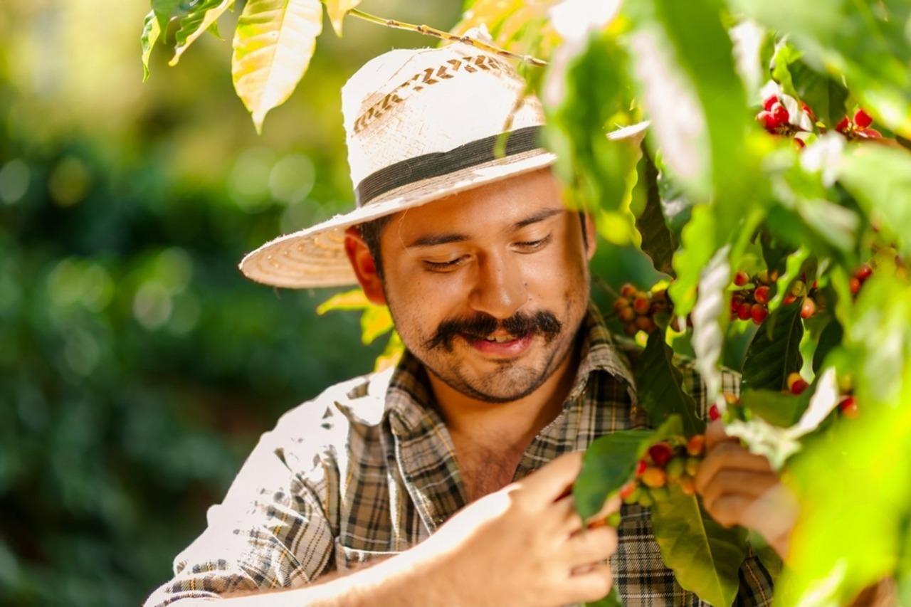 Caficultor colombiano con granos de café